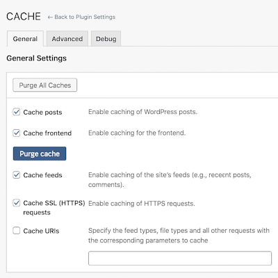 WordPress Cache Settings