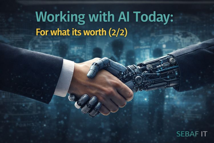 SEBAF IT For what its worth (2)