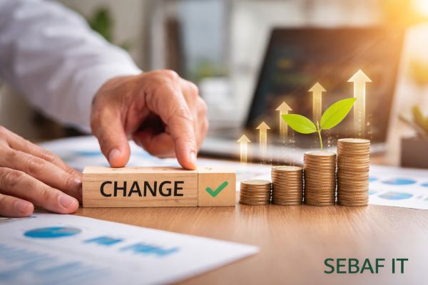 SEBAF IT IT-Project-Management